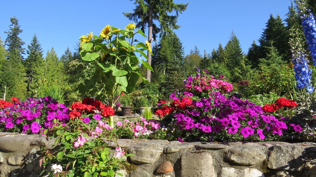 A Hidden Haven Cottages Port Angeles Exterior foto