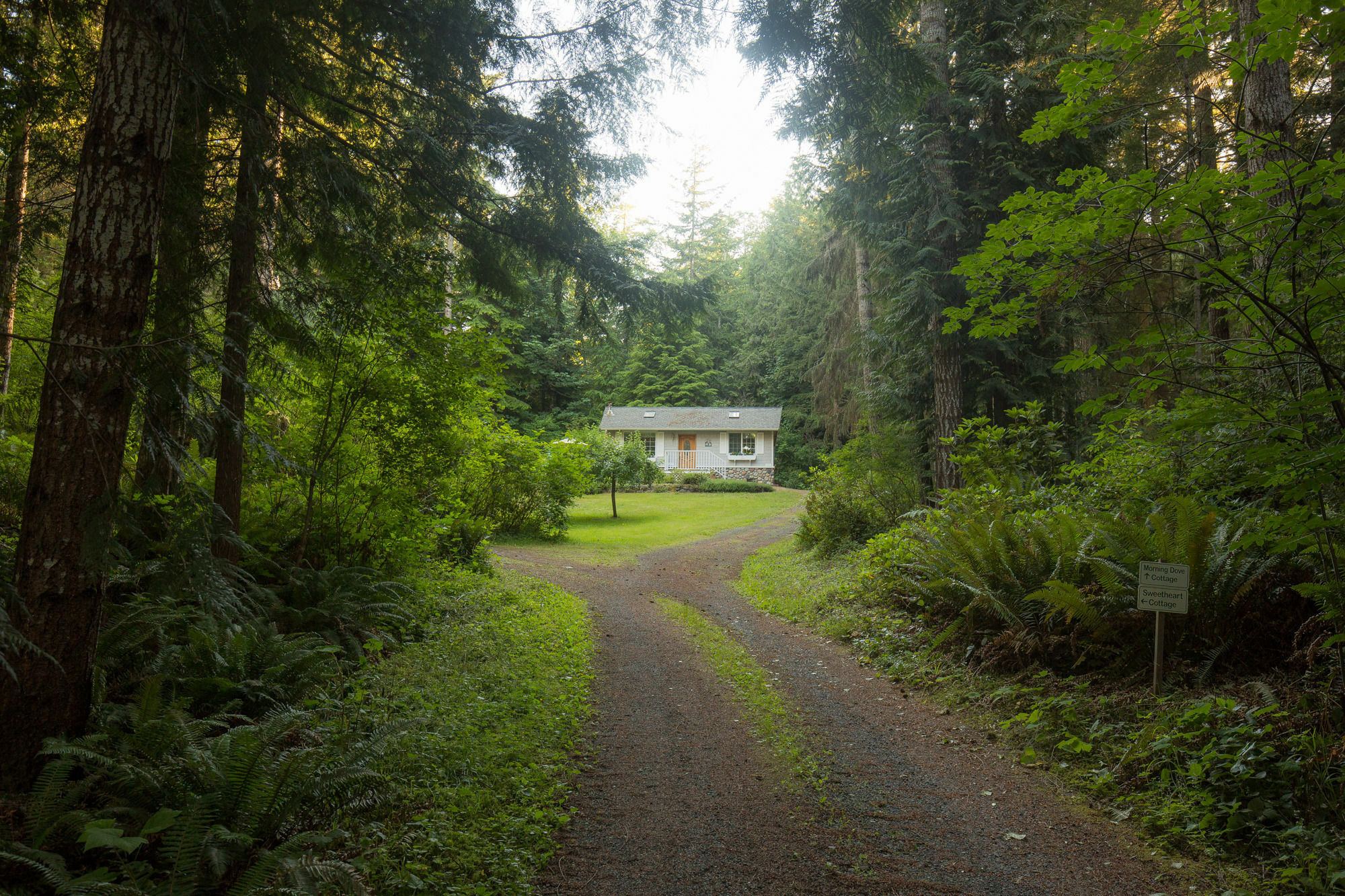 A Hidden Haven Cottages Port Angeles Exterior foto